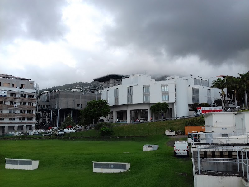 CHU SITE FELIX GUYON (SAINT DENIS)