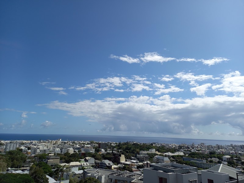 CHU SITE FELIX GUYON (SAINT DENIS)