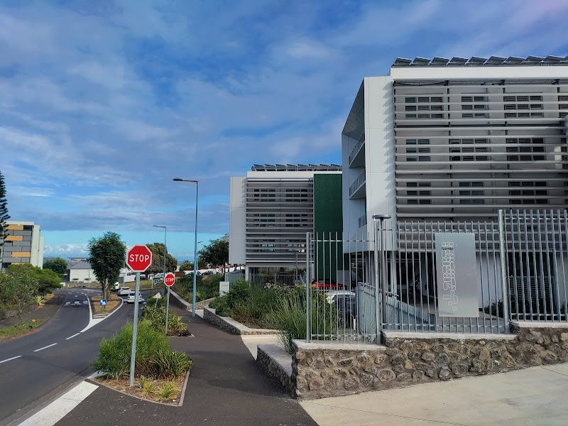 CLINIQUE EUCALYPTUS — vue